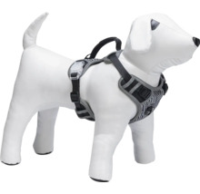 Harnais pour chien sur un mannequin de chien