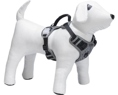 Harnais pour chien sur un mannequin de chien