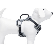 Harnais pour chien avec poignée sur le dos