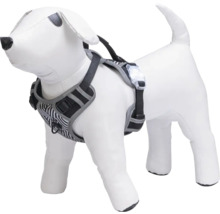 Harnais pour chien avec bandes réfléchissantes et lumière LED