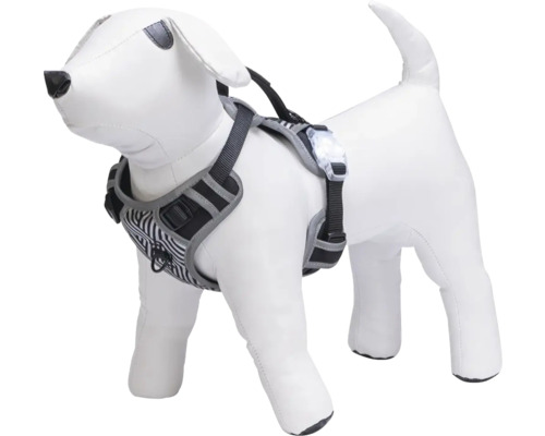 Harnais pour chien avec bandes réfléchissantes et lumière LED