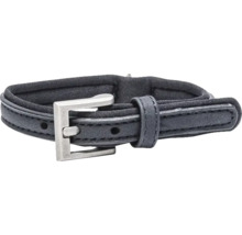 Hundehalsband mit Metallschnalle