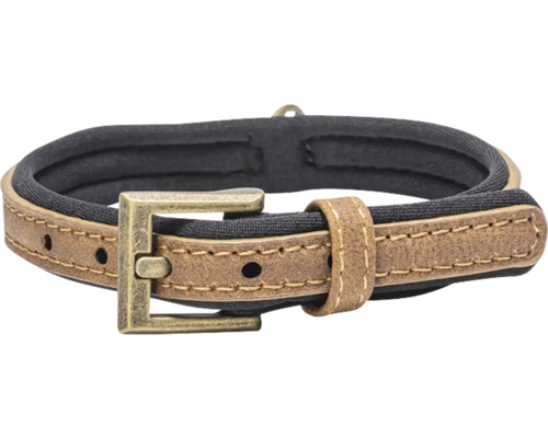 Hundehalsband aus Leder mit Schnalle