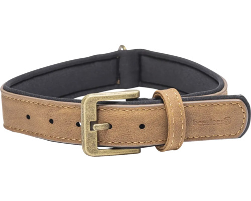 Hundehalsband aus Leder mit Schnalle