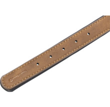 Hundehalsband aus Leder mit Löchern zur Größenverstellung