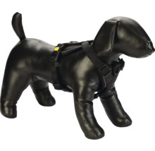 Harnais pour chien sur modèle de chien