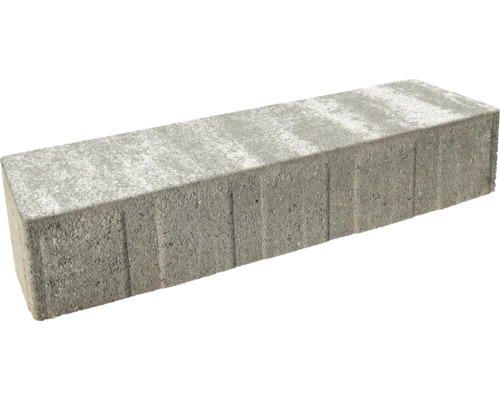 Rechteckiger Pflasterstein