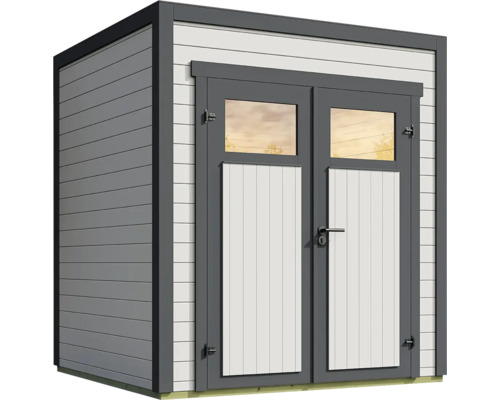 Abri de jardin avec double porte et fenêtres