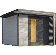 Abri de jardin avec fenêtre et paroi à lamelles