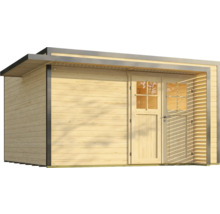 Abri de jardin en bois avec porte et fenêtre