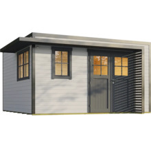 Abri de jardin avec fenêtres et porte