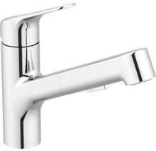 Küchenarmatur mit Ausziehbrause