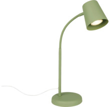 Grüne Schreibtischleuchte mit flexiblem Hals und rundem Sockel