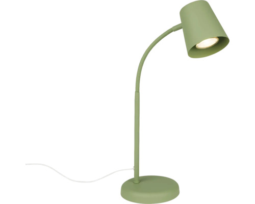 Grüne Schreibtischleuchte mit flexiblem Hals und rundem Sockel