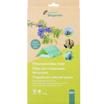 Andermatt Biogarten Piège à carpocapses des prunes, un piège