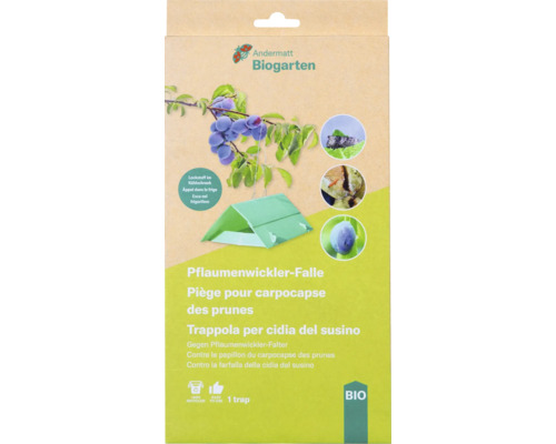 Andermatt Biogarten Piège à carpocapses des prunes, un piège
