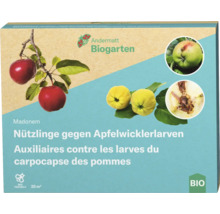 Madonem Nützlinge gegen Apfelwicklerlarven Verpackung
