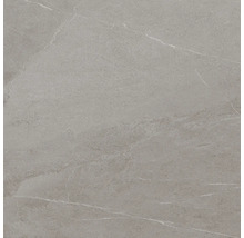 Vue détaillée d'un carreau de sol avec une structure en marbre