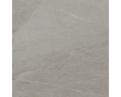 Vue détaillée d'un carreau de sol avec une structure en marbre