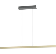 Suspension linéaire avec fixation