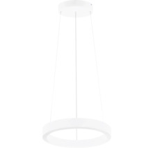 Suspension en forme d'anneau