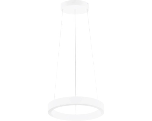 Suspension Pastrengo LED 30 W 4062 lm blanc Suspension en forme d'anneau