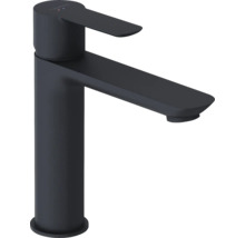 Mitigeur de lavabo noir