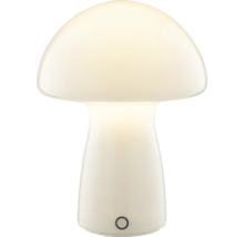 Pilzförmige Tischleuchte