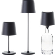 Drei verschiedene Lampen mit schwarzem Lampenschirm, eine davon auf einer Glasflasche