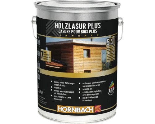 Peinture pour bois Plus, bidon avec protection pour bois et protection UV de Hornbach