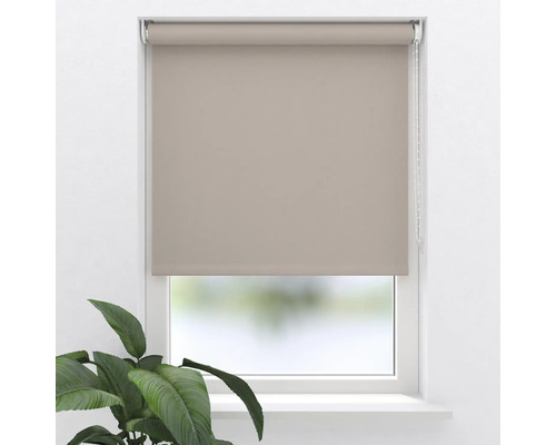 Beige Rollos am Fenster zur Lichtsteuerung.