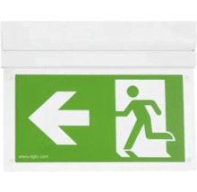 Notausgangsleuchte mit Pfeil nach links
