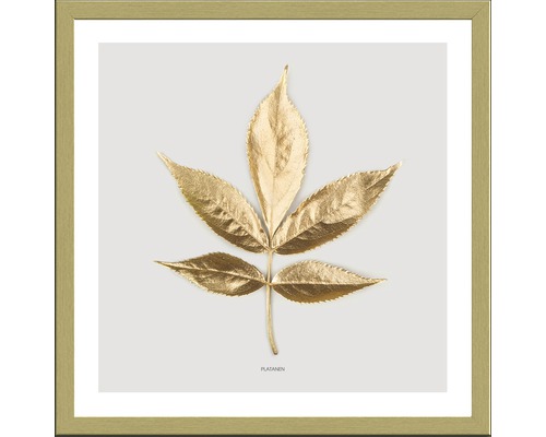 Tableau encadré Golden Leaf I 33x33 cm