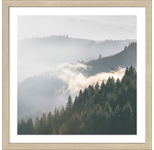 Gerahmtes Bild einer nebelverhangenen Berglandschaft mit Wald