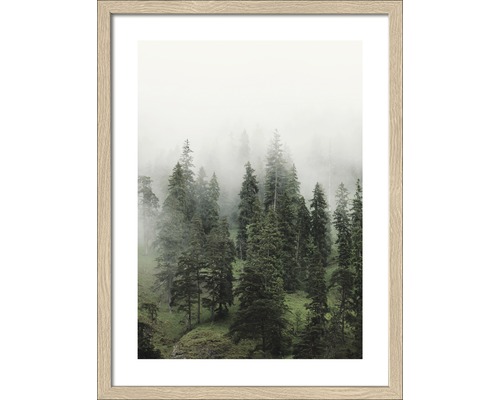 Gerahmtes Bild Foggy Trees II 43x33 cm