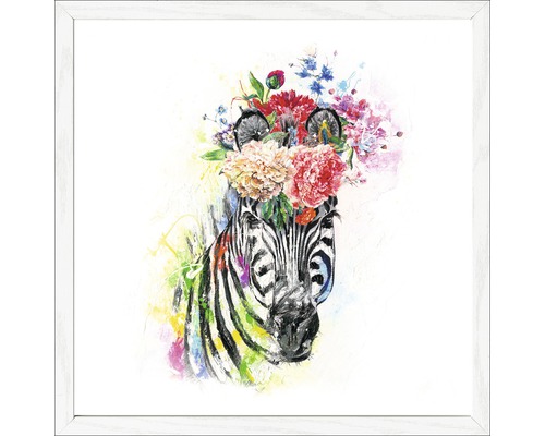 Tableau encadré Colourful Zebra 33x33 cm