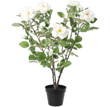 Plante artificielle rosier avec fleurs blanches en pot noir