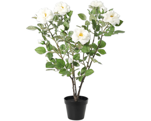 Plante artificielle rosier avec fleurs blanches en pot noir
