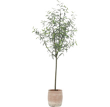 Arbre décoratif en pot pour l'intérieur