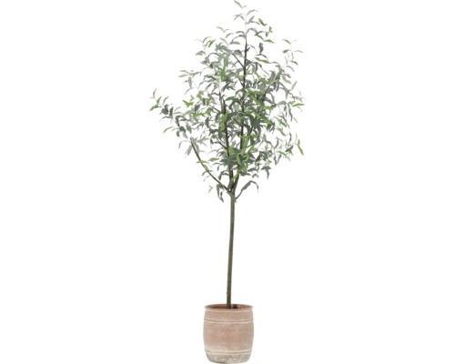Arbre décoratif en pot pour l'intérieur