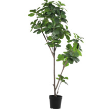 Künstlicher Gummibaum im Topf für die Dekoration