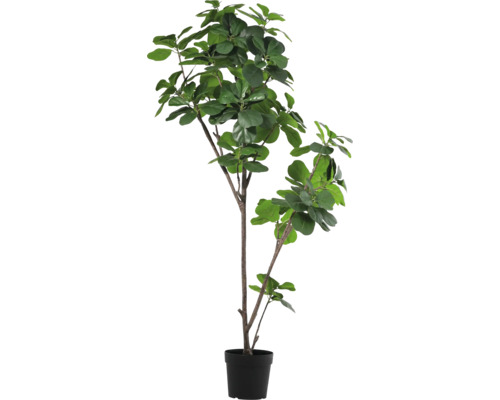 Künstlicher Gummibaum im Topf für die Dekoration