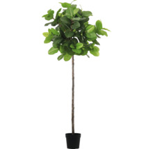 Ficus Lyrata artificiel en pot