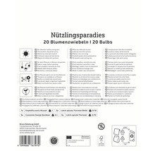 Informations sur Nützlingsparadies 20 bulbes de fleurs