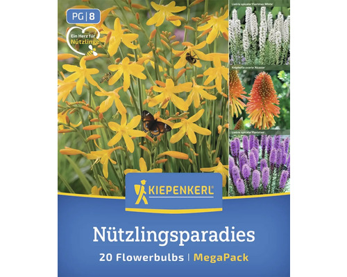 Mélange de fleurs Nützlingsparadies de Kiepenkerl, méga pack de 20 bulbes