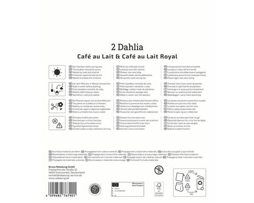 Informations sur les dahlias de type Café au Lait et Café au Lait Royal