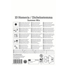 Informationen zu Dichelostemma und Homeria Sommer Mix, einschließlich Standort, Bewässerung, Pflanzung, Schnittblumeneignung und Lagerung