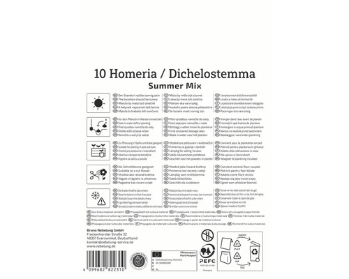 Informationen zu Dichelostemma und Homeria Sommer Mix, einschließlich Standort, Bewässerung, Pflanzung, Schnittblumeneignung und Lagerung