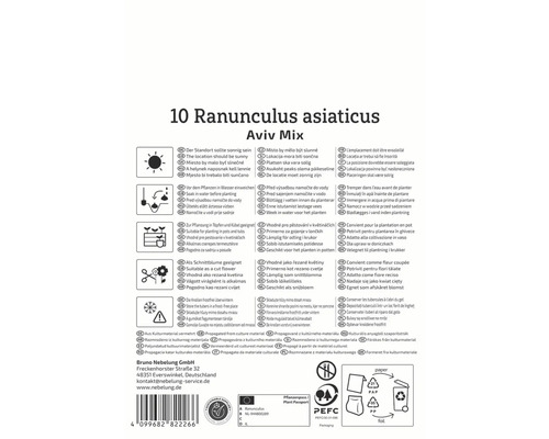Informationen zu Ranunkeln, Standort, Pflege und Lagerung
