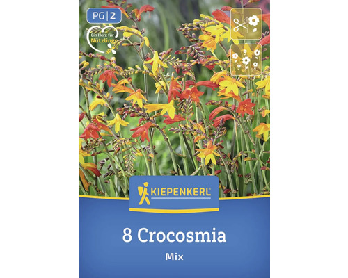 Kiepenkerl Logo. Packung mit 8 Crocosmia Blumenzwiebeln Mischung